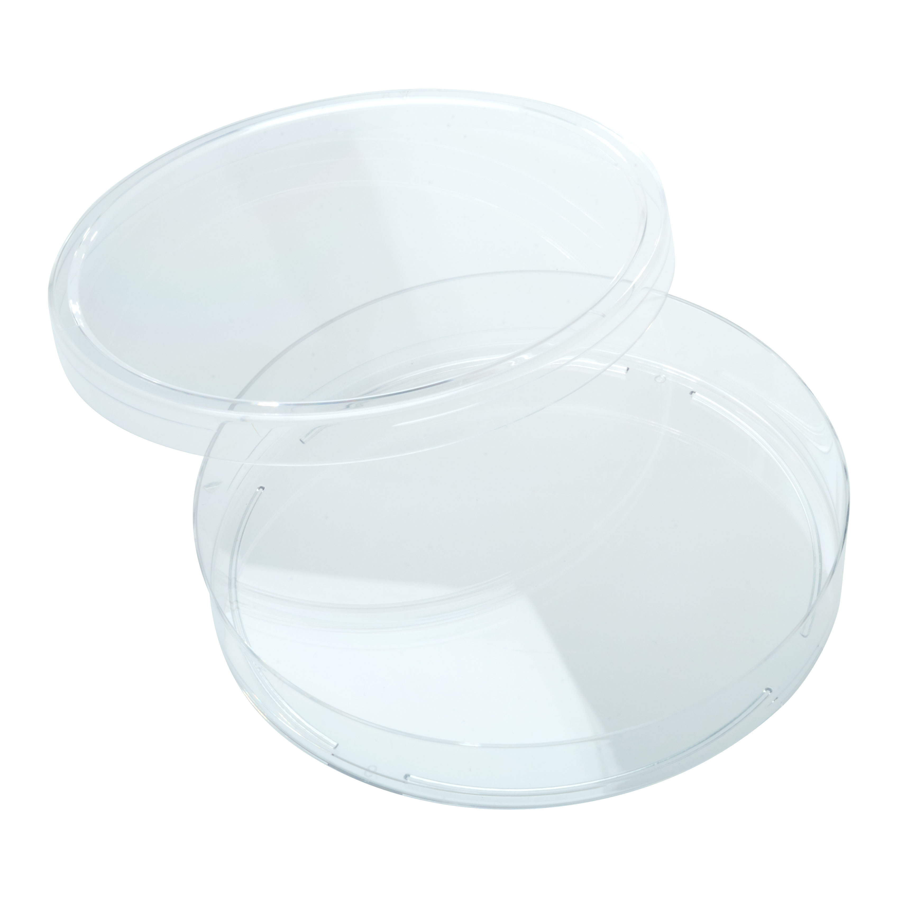Petri Dishes Stainless Steel 100x20mm