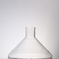Fernbach Flask