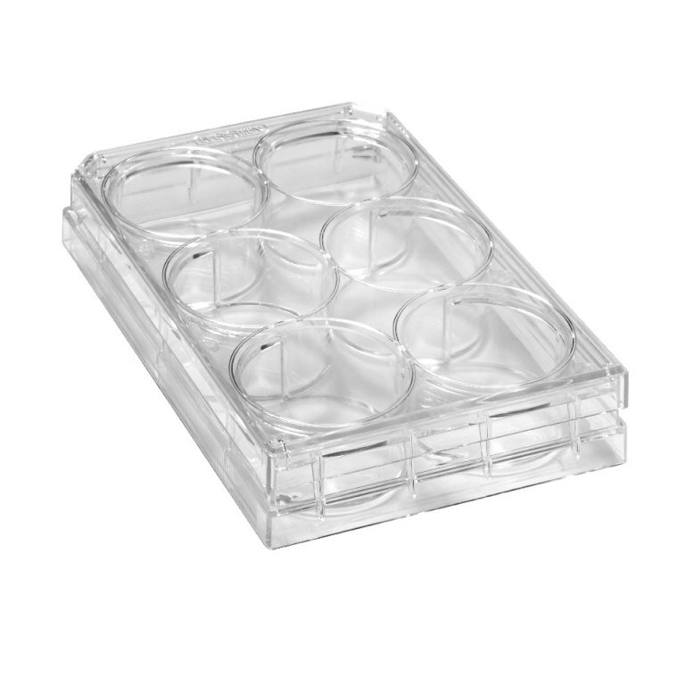 TC Treated 6Well Plates With Lids SKU130000309 Bellco Glass Laboratory Glassware