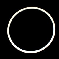 Vessel Flange Gasket 7L For Bioreactor Vessels SKU: 1964-88970