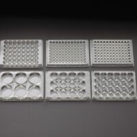 Multiple Well Plate Non-Treated