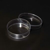 Standard Petri Dish