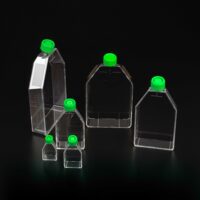 Tissue Culture Flask