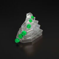 Tissue Culture Flasks