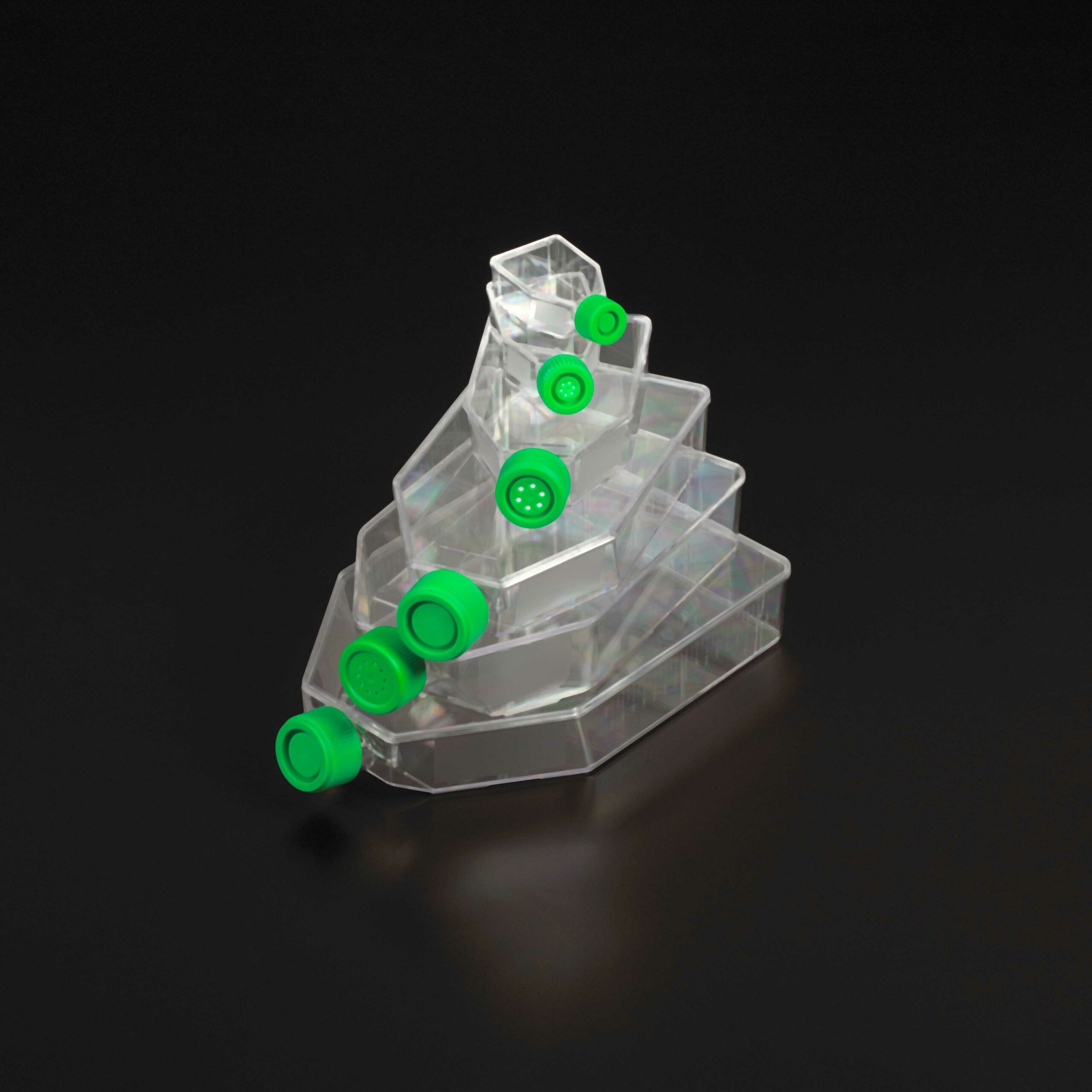 Tissue Culture Flasks