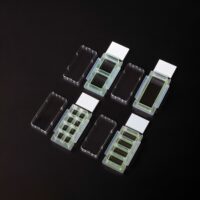 Chamber Cell Culture Slide