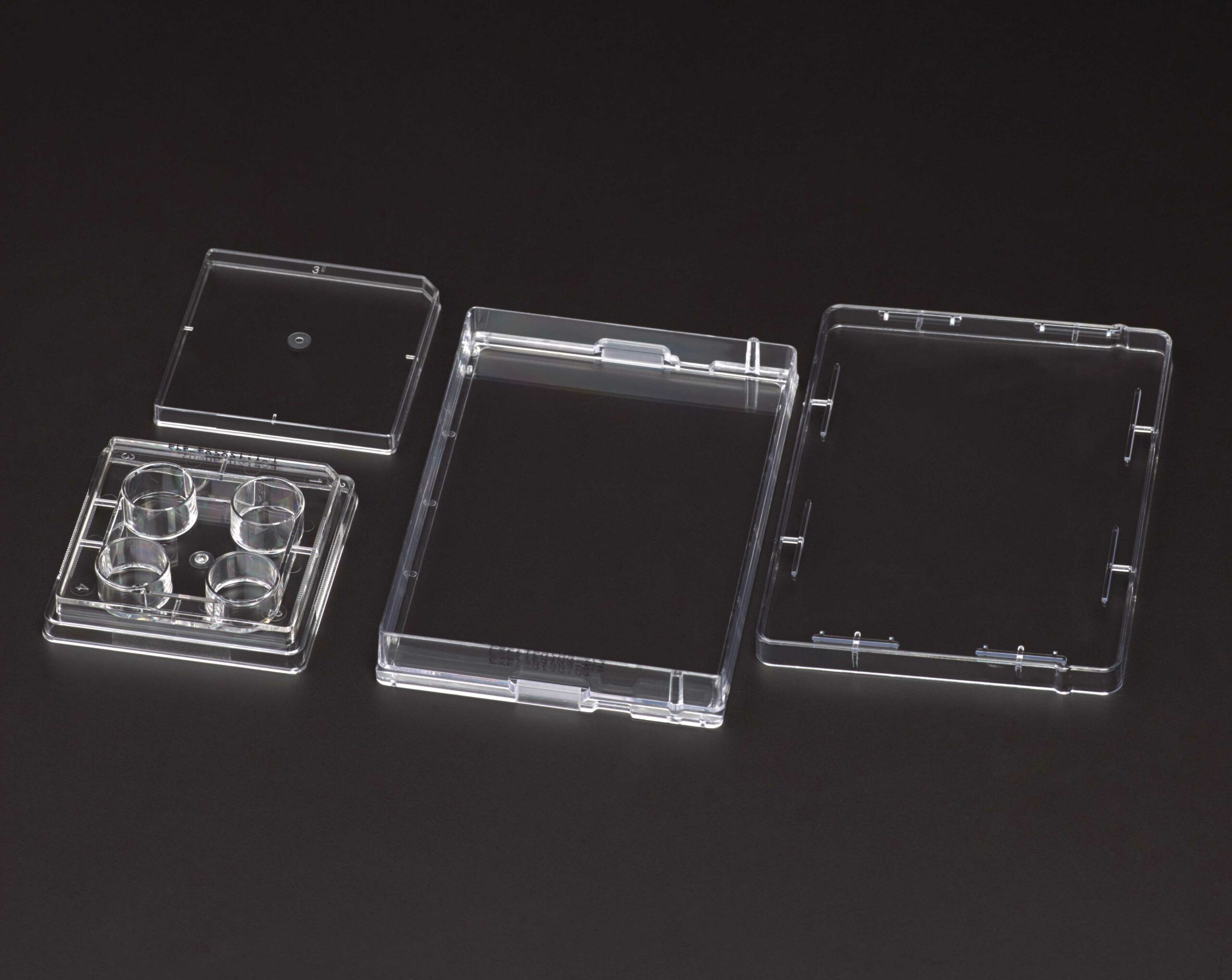 Multiple Well Plate Treated