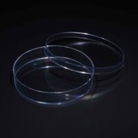 Treated Cell Culture Dish