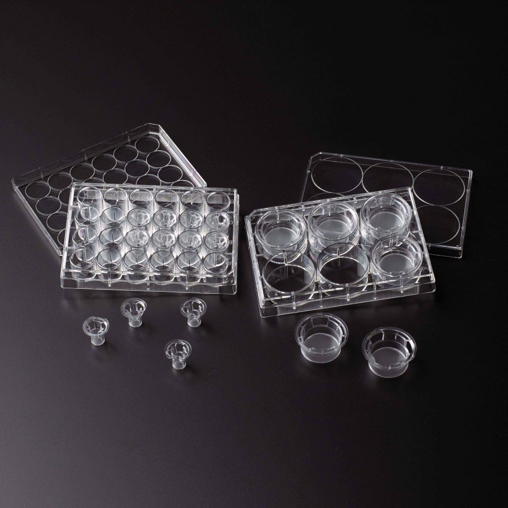 Permeable Cell Culture Inserts Bellco Glass Laboratory Glassware