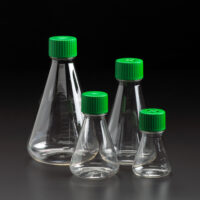 Erlenmeyer Flask, Vent & Solid Cap