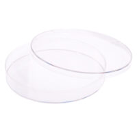 150mm x 20mm Petri Dish,