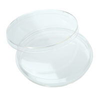 100mm x 15mm Petri Dish