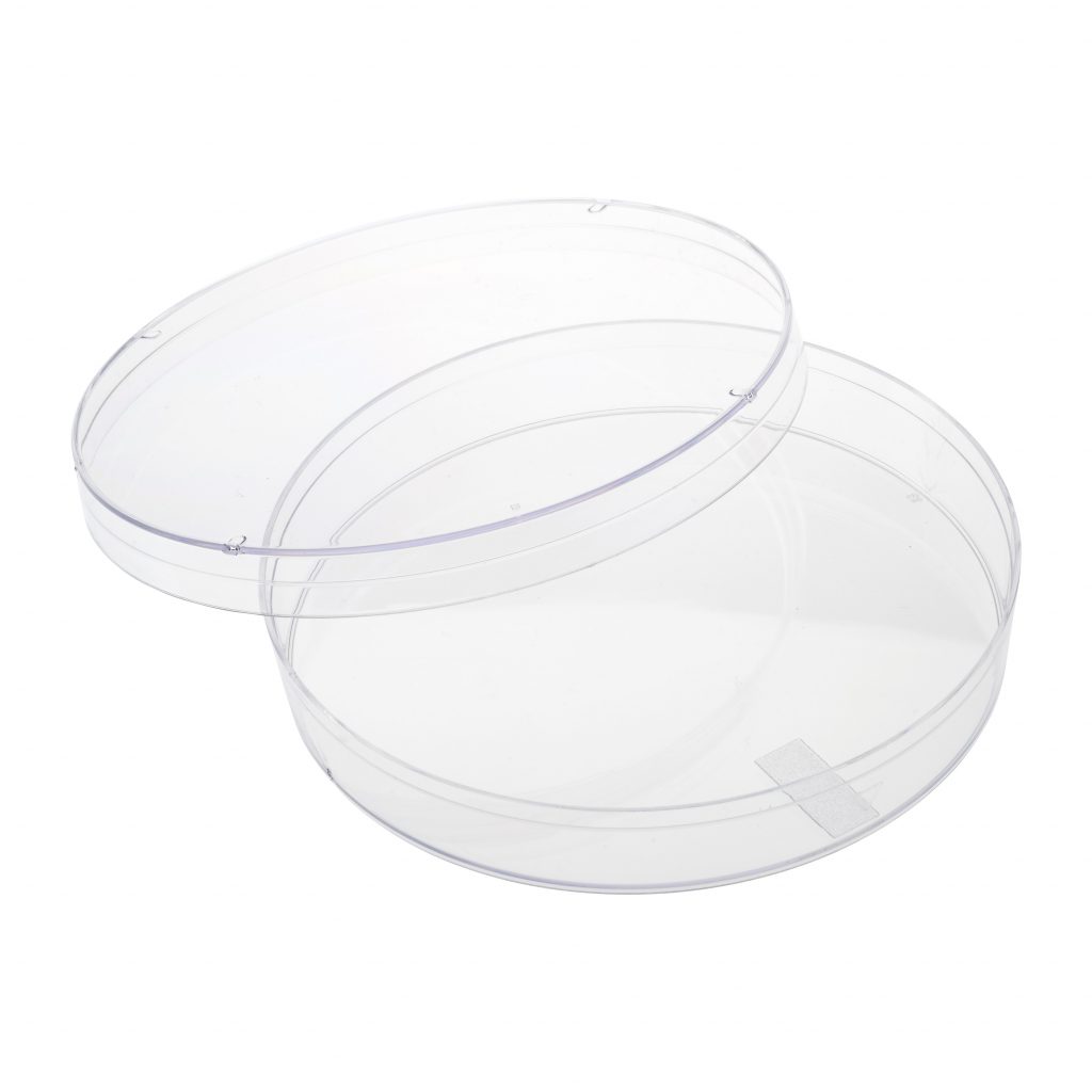 100mm x 15mm Petri Dish, Bellco Glass Laboratory Glassware