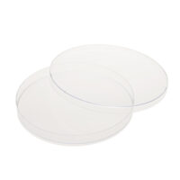 150mm x 15mm Petri Dish,