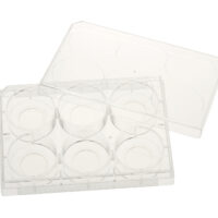 6 Well Tissue Culture Plate