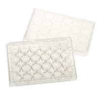 24 Well Tissue Culture Plate