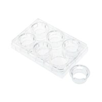 Permeable Cell Culture Inserts, Packed in 6 Well Plate, PC, 0.4µm, Sterile