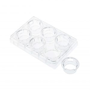 Permeable Cell Culture Inserts - Bellco Glass | Laboratory Glassware