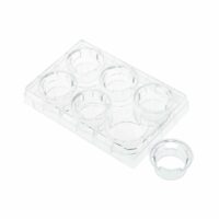 Permeable Cell Culture Inserts, Packed in 6 Well Plate, PC, 0.4µm, Sterile