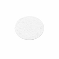 Glass Fiber Filter Disk