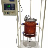 25L Jacketed Bioreactor System