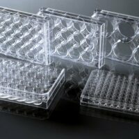 384 Well Cell Culture Plate