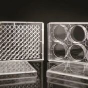 96 Well Low Evap EDGE Plate, Flat Bottom, Non-Treated, Sterile, 1/pk, 50/cs