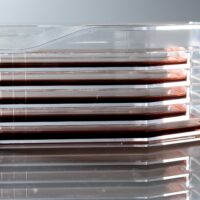 5-Layer Cell Culture Flask, Plug Seal Cap,  Straight Neck, TC, sterile 1/pk, 8/cs