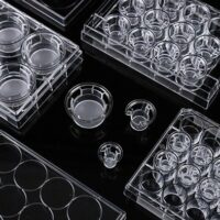 12 Cell Culture Inserts+12 Well Plate, 0.4 ?m, PC Membrane, Opaque, Non-Treated, Sterile, 12/pk, 48/cs