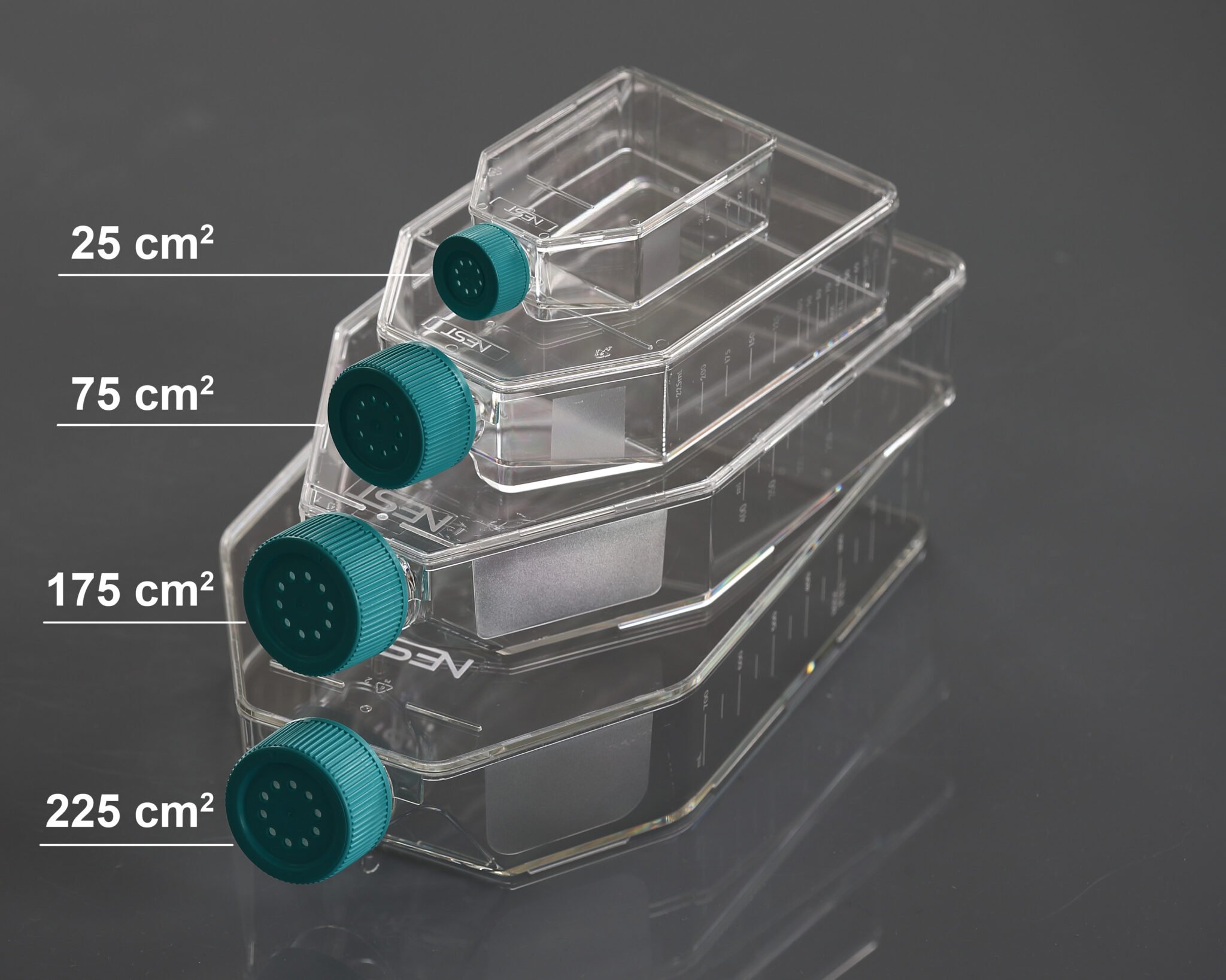 75cm2 Cell Culture Flask, Vent Cap, NonTreated, sterile 5/pk, 100/cs