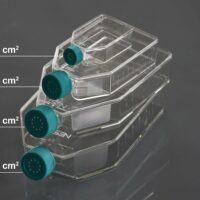 175cm2 Cell Culture Flask, Vent Cap, Non-Treated, sterile 5/pk, 40/cs