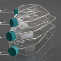 175cm2 Cell Culture Flask, Plug Seal Cap, Non-Treated, sterile 5/pk, 40/cs