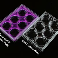 12 Well Cell Culture Plate, Flat, TC, sterile 1/pk, 50/cs