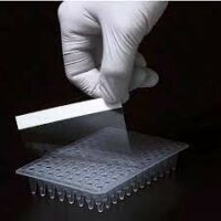 Adhesive sealing film for deep well plates, 100/pk