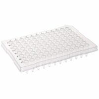 PCR - Plates
