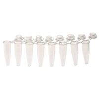 PCR 8-Strip Tubes, 0.2mL, Separable, Attached Dome Caps, Clear