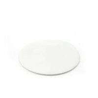 EZflow Membrane Disc Filter, 90mm 1.0um Glass Fiber, Non-Sterile, 25/PK