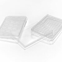 LID 96 WELL MPLATE UNTRTD