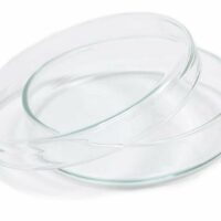 Borosil Petri/ Culture Dish 150MM