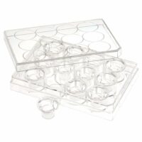 Permeable Cell Culture Inserts, Packed in 12 Well Plate, Hanging, PET, 0.1um, Sterile