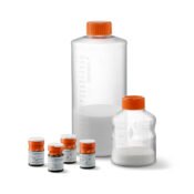 Untreated Microcarriers, 10g Vial